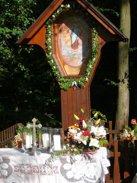 Hovice-Koniny